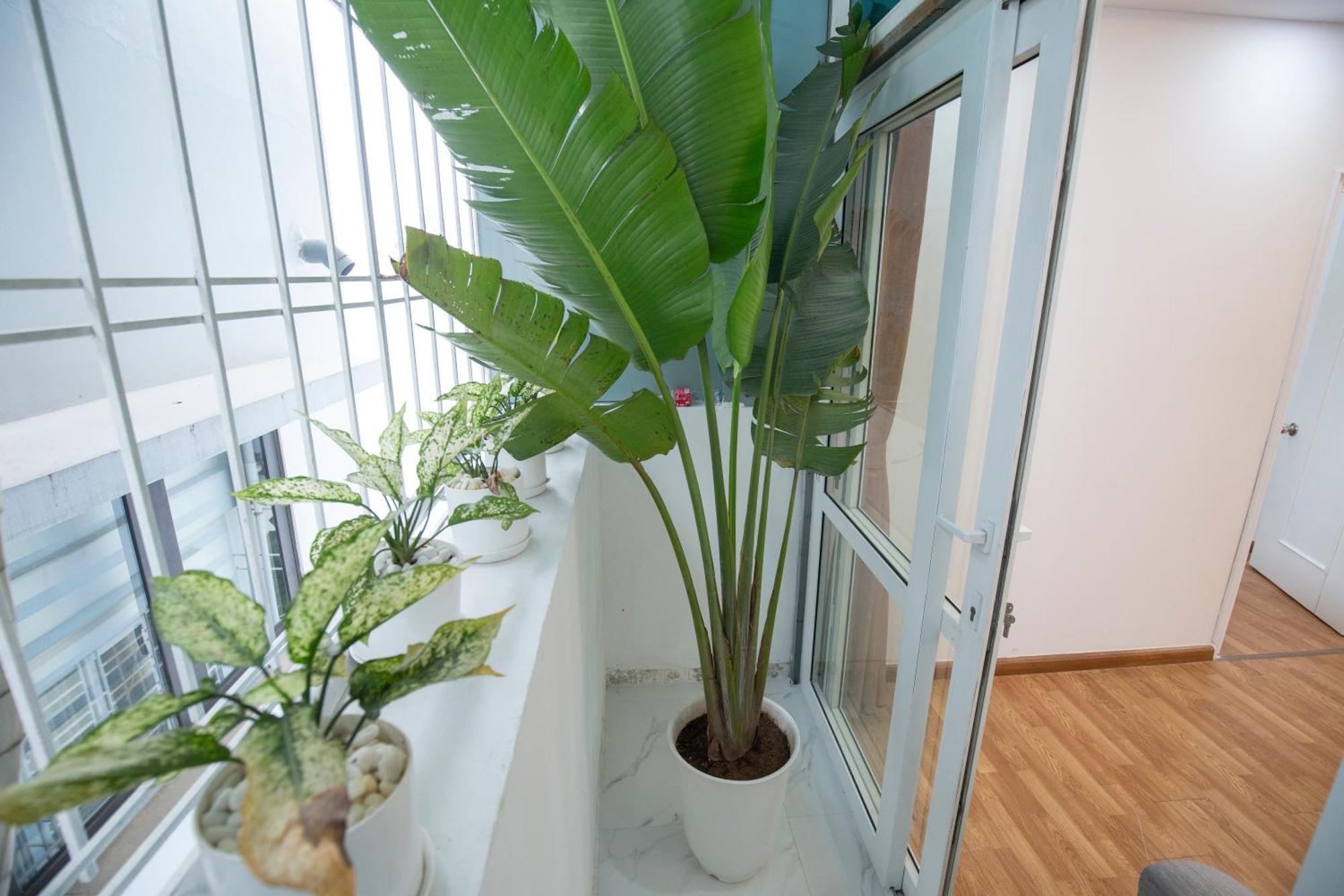 Sumitomo 4 Serviced Apartments & Breakfast Ανόι Εξωτερικό φωτογραφία